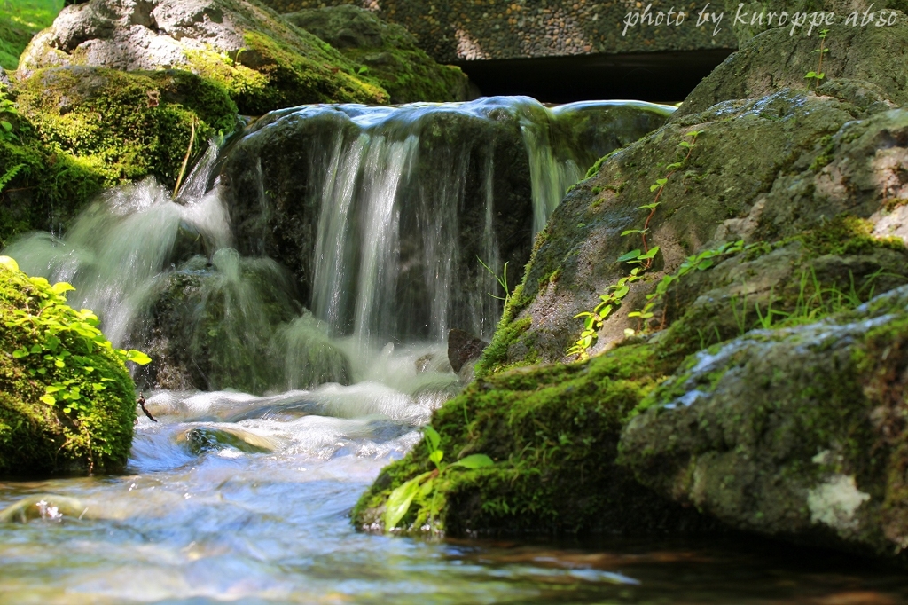 名水公園