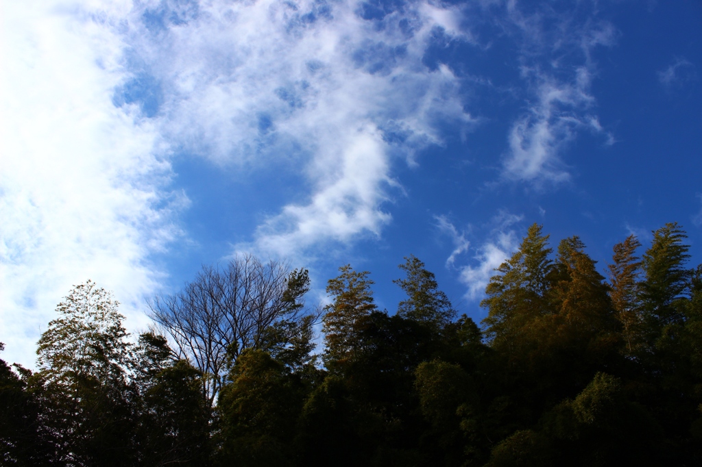 立春の空