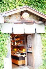 蔦だらけのお店の裏口
