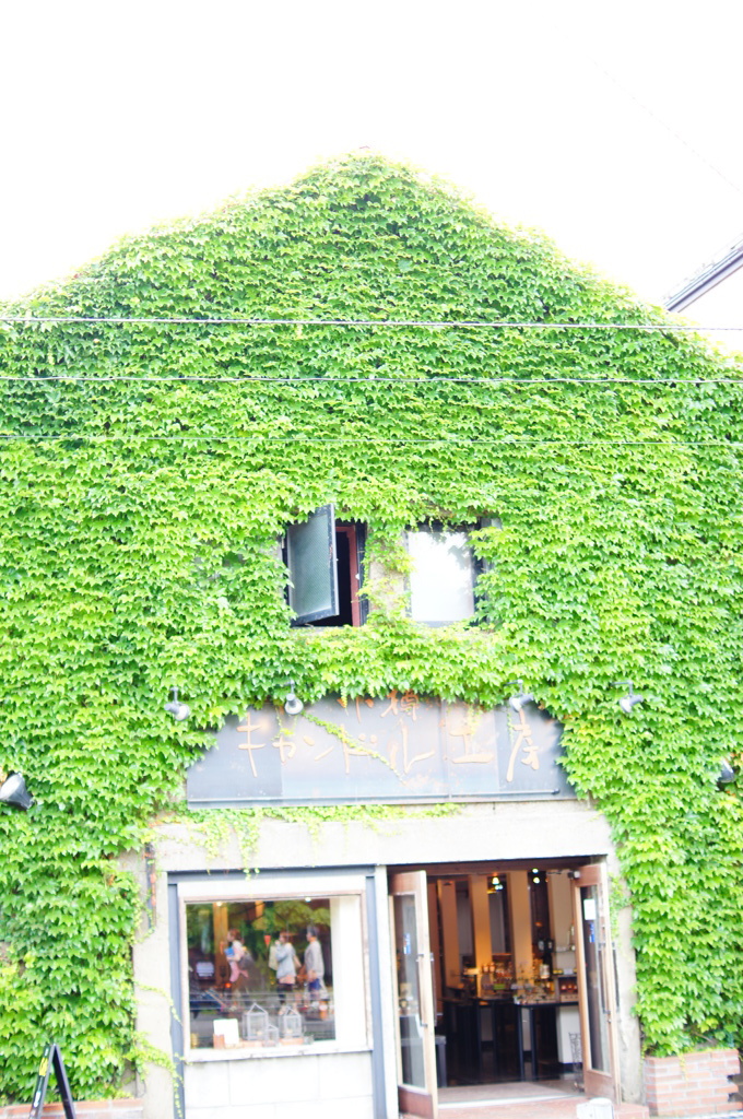 蔦だらけのお店