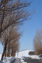 雪解け