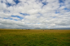 Icelandic Landscape1