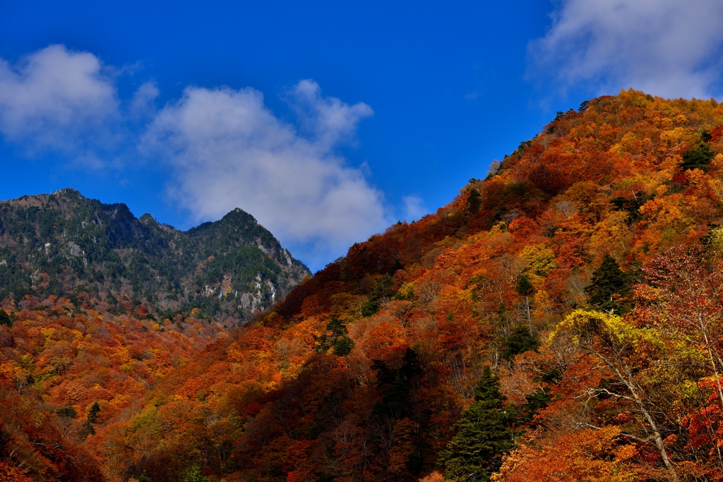 西沢渓谷-1