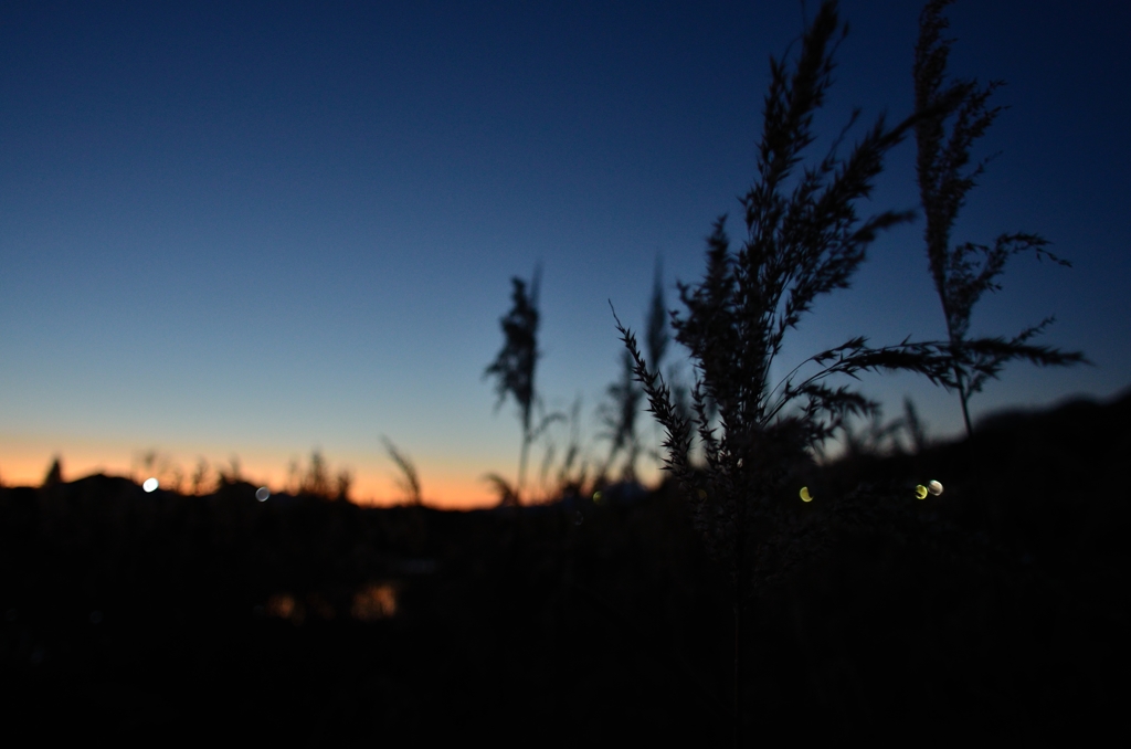 moment by moment