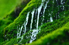 水飛沫