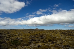 Icelandic Landscape2