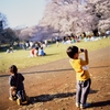 桜の咲く公園で