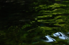 水面に碧