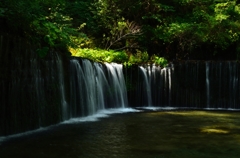 白糸の滝