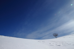 雪原の丘