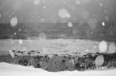 雪原