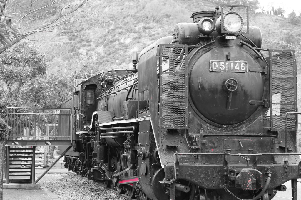 Ｄ５１