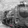 Ｄ５１