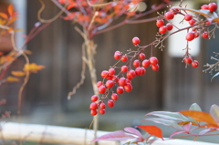 浅間神社にて