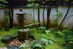 蕎麦屋の庭