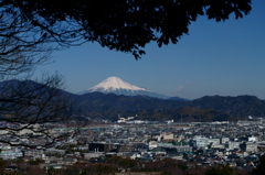 浅間神社からの富士山