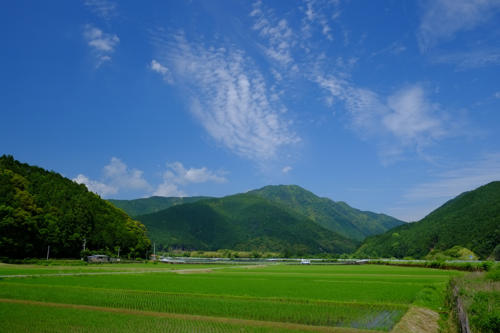 田園