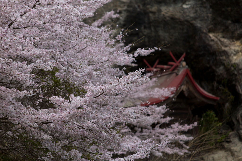 蜂須神社