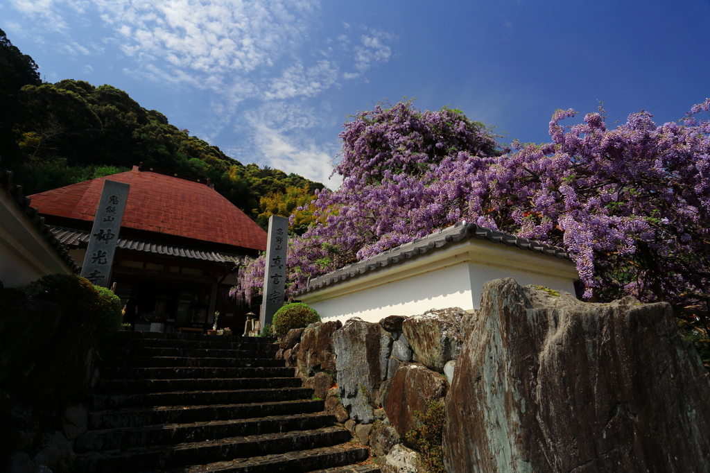 神光寺