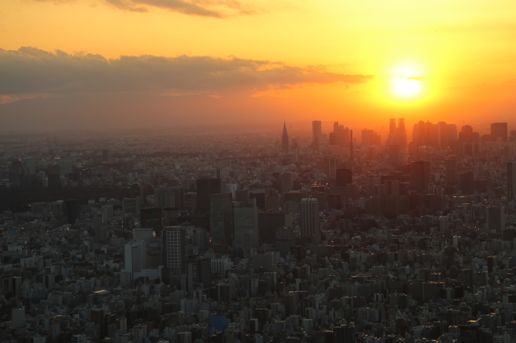 大都会の夕空