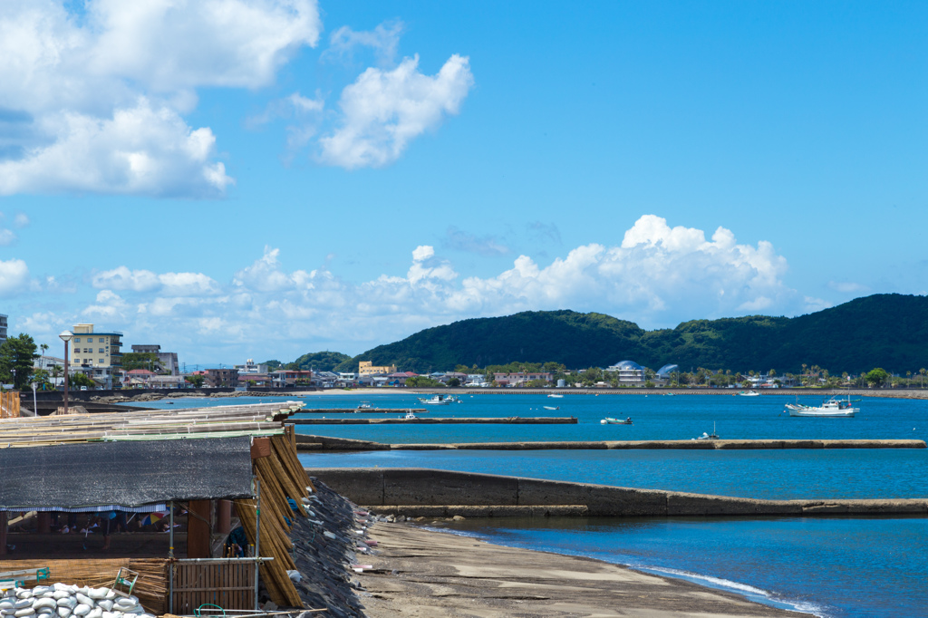 夏の砂むし