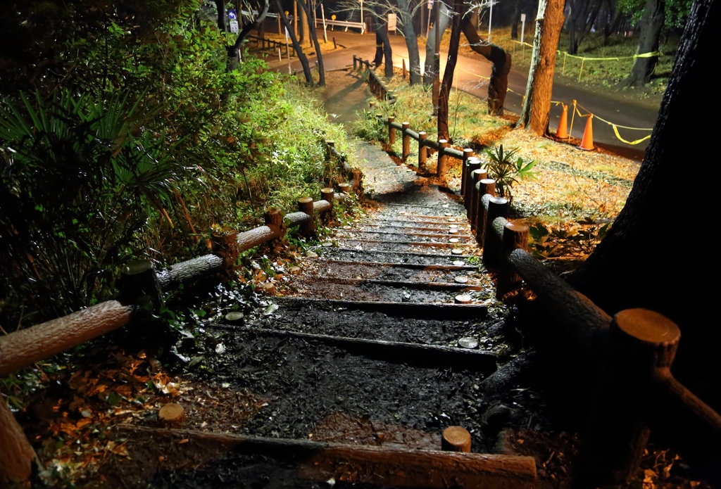 公園からの帰り道