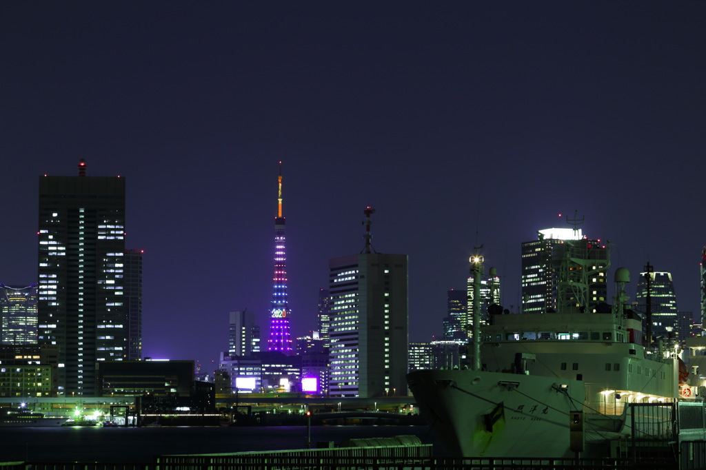 照洋丸と東京タワー