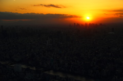 スカイツリーから見た東京の夕空