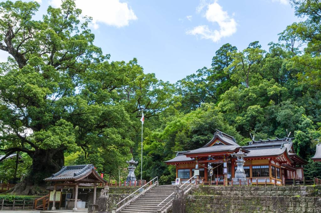 大樹に守られし神社