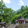 大樹に守られし神社