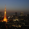Twilight of Tokyo Tower 