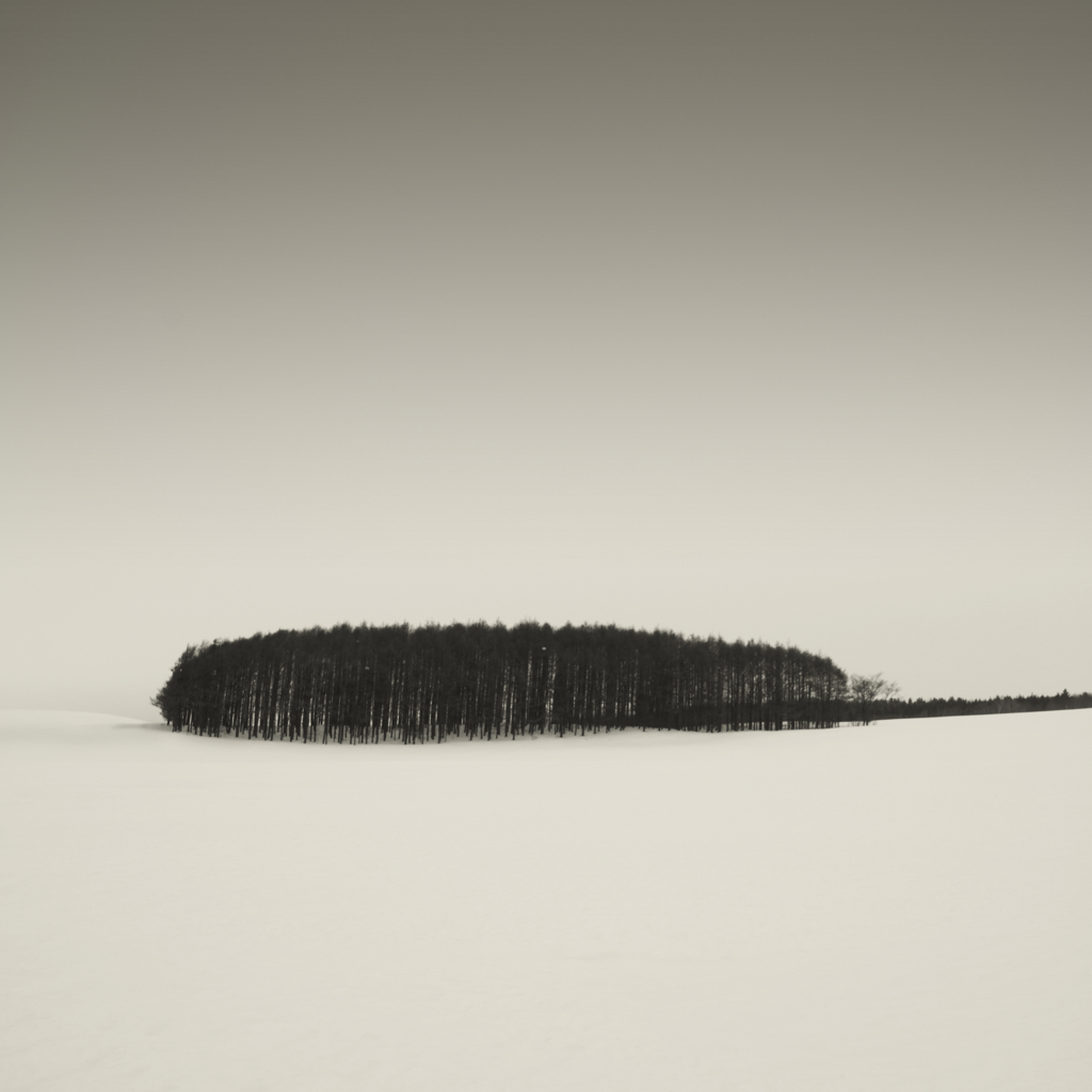 Kenna Copse