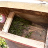P1230779