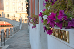 Venice Streets