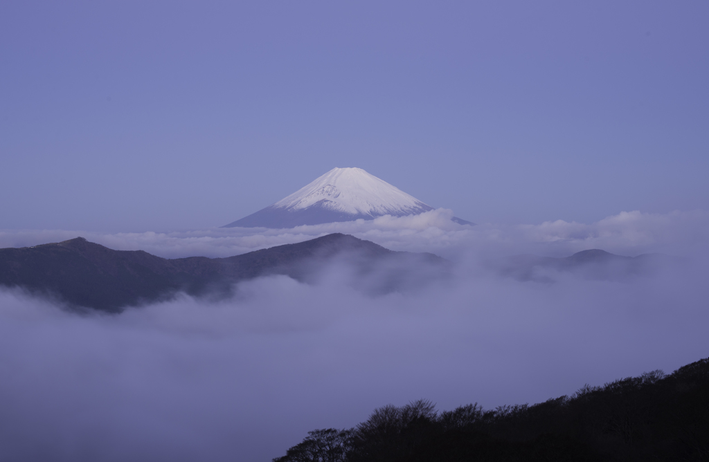 富士と雲海
