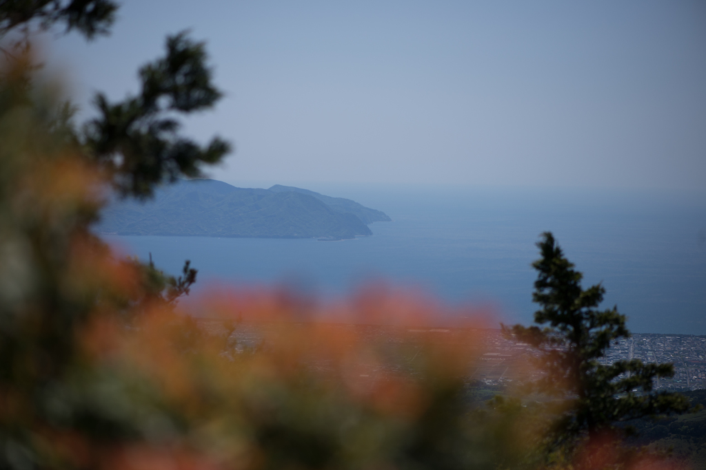 駿河湾を望む