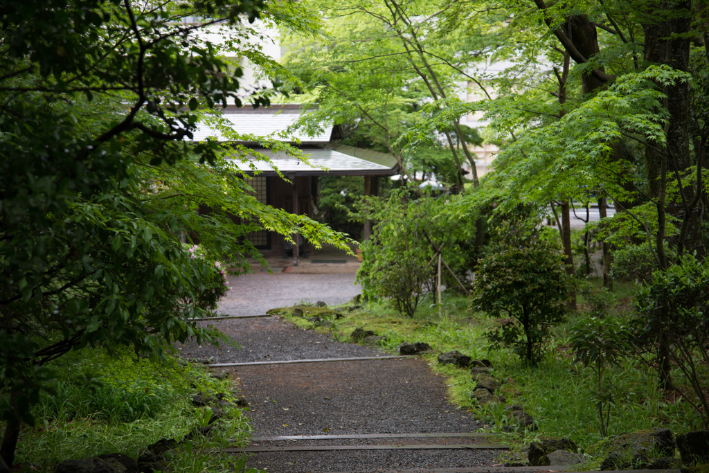 楽寿園＠三島
