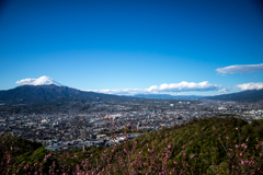 富士山と裾野市