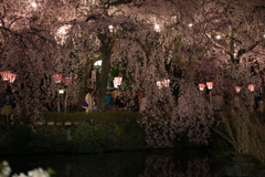 日本の春の風景