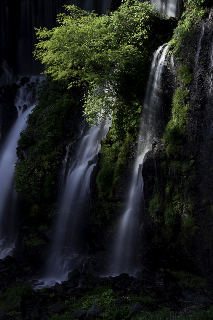 白糸の滝
