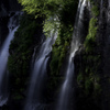 白糸の滝