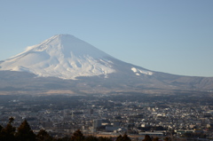 富士山