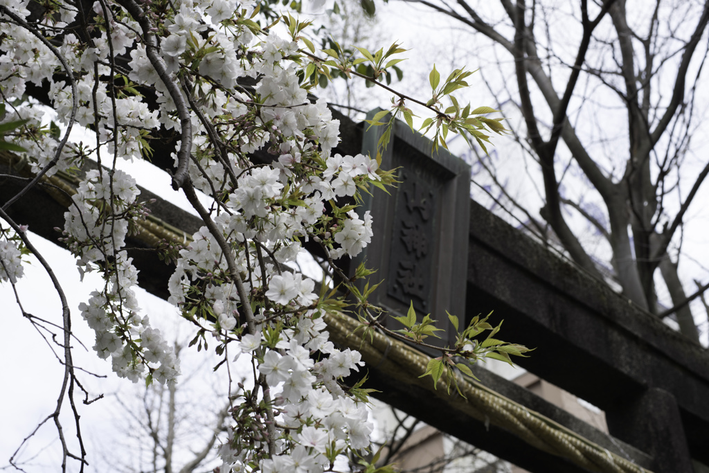 神社