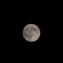 The moon