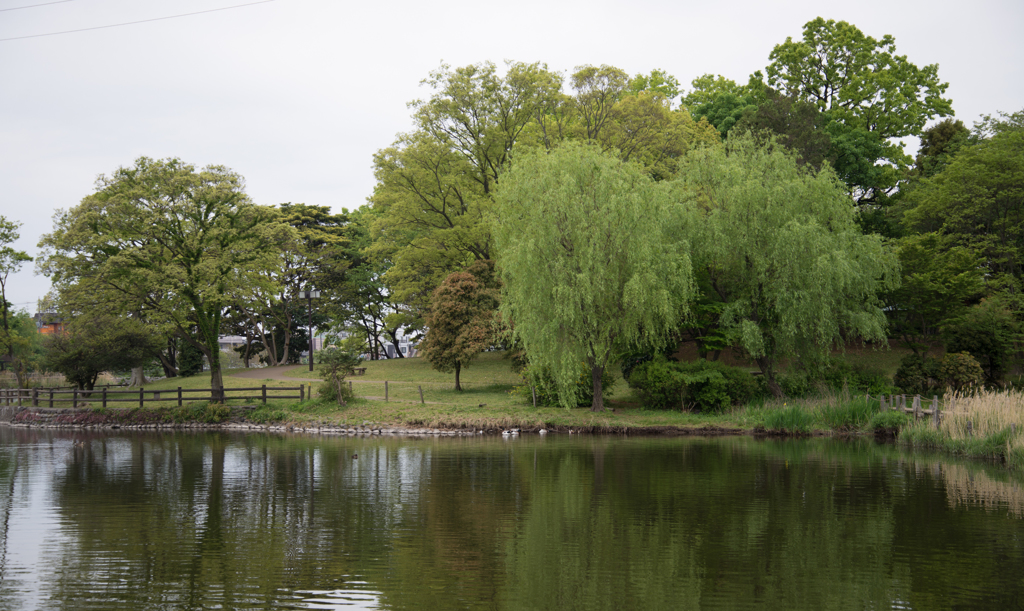 門池公園