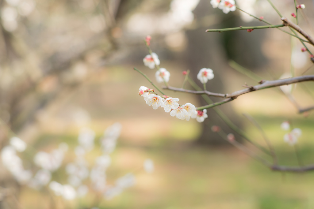 小春日和