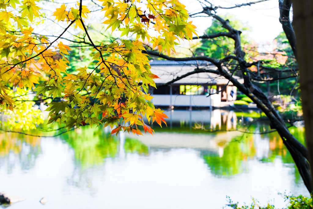 公園にて