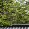 プロペラと瓦屋根