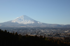 富士山