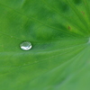 A drop